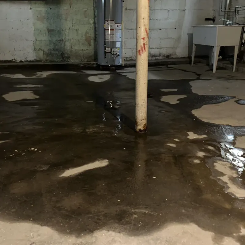 Emergency Water Extraction And Removal in Poplar Bluff, MO